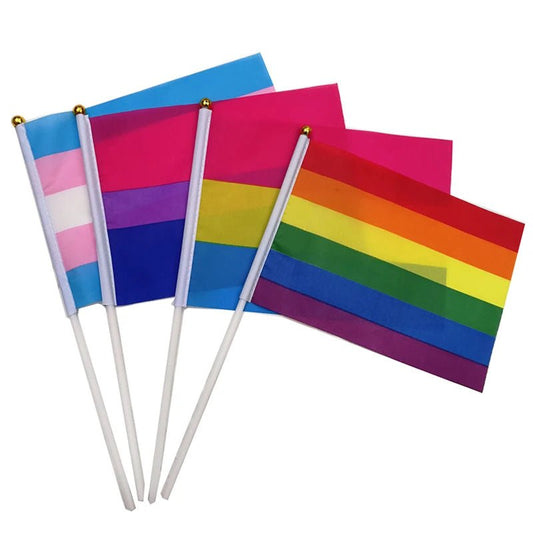 This set includes 100 Pride Flags (14cm x 21cm) featuring rainbow, trans, pansexual, bisexual, lesbian, asexual, and genderfluid designs—perfect for celebrating LGBTQ+ pride.