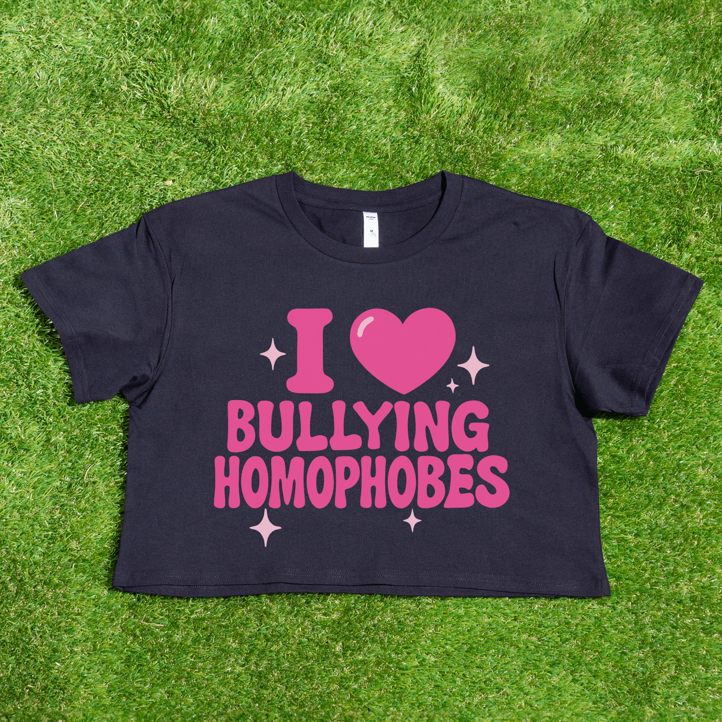 A black crop tee printed locally reads "I 🩷 Bullying Transphobes / Homophobes" in bold pink text with a heart and sparkles. Queer streetwear from a trans-owned small business, shown on green grass.