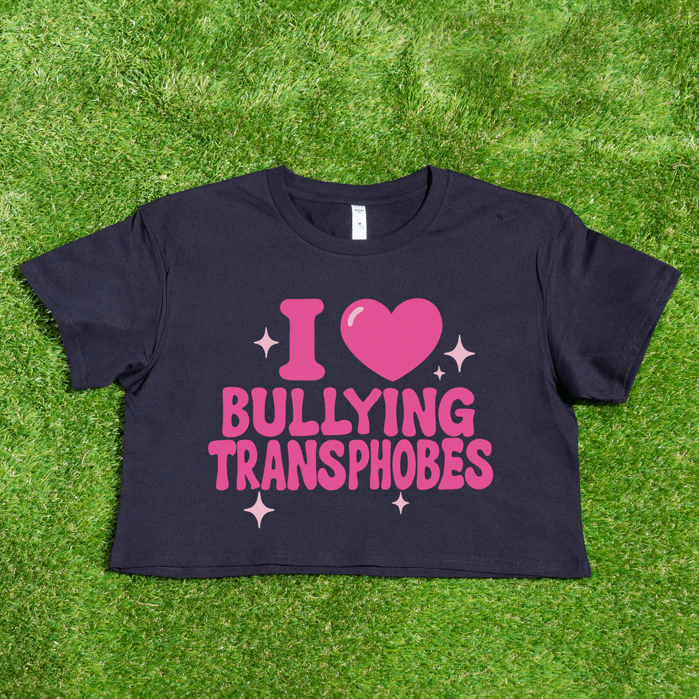 A black crop tee on grass features pink "I 🩷 BULLYING TRANSPHOBES" text with a heart and sparkles—a bold queer skate streetwear piece. Product: I 🩷 Bullying Transphobes / Homophobes - locally printed crop tee from a trans-owned business.
