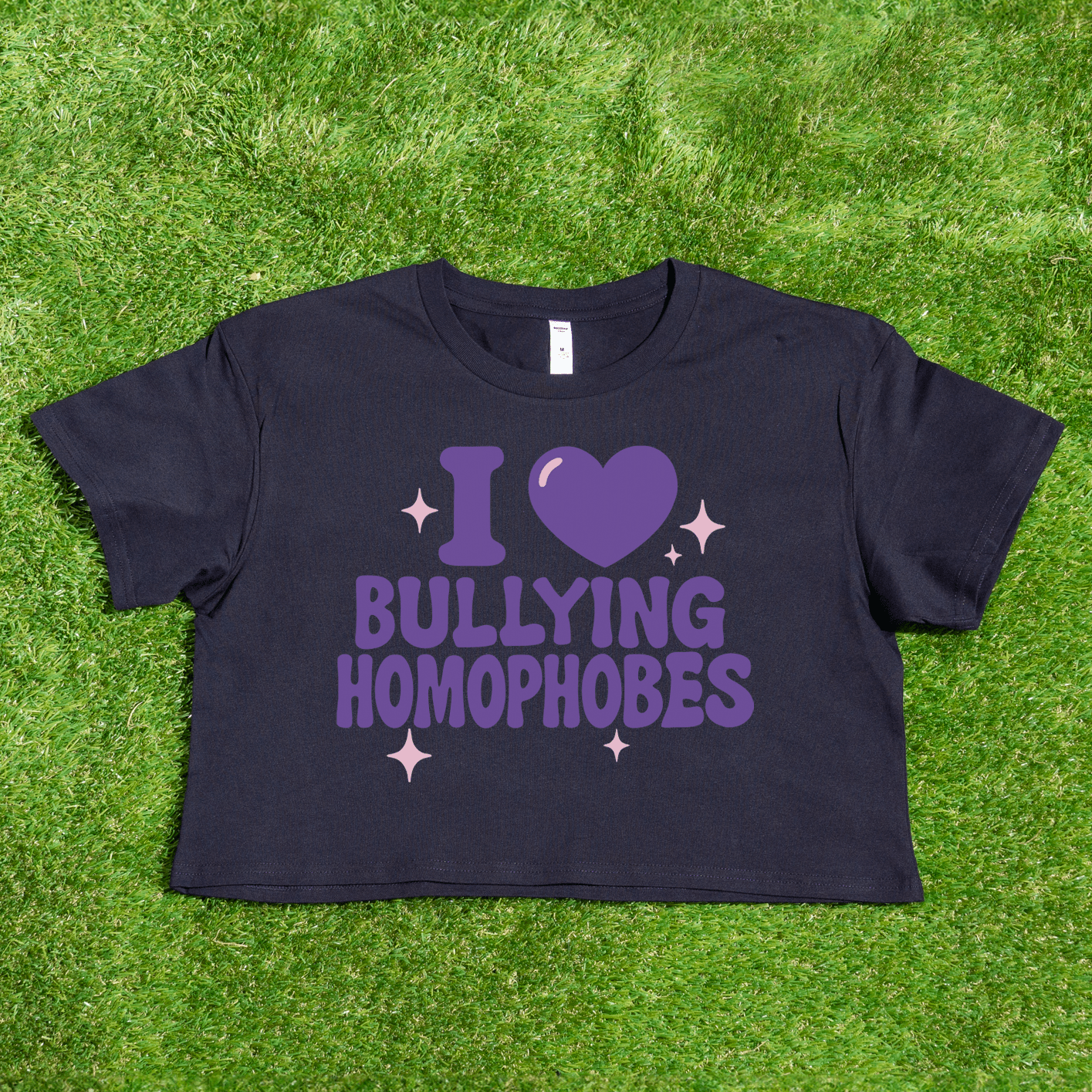 I 💜 Bullying Homophobes - locally printed crop tee