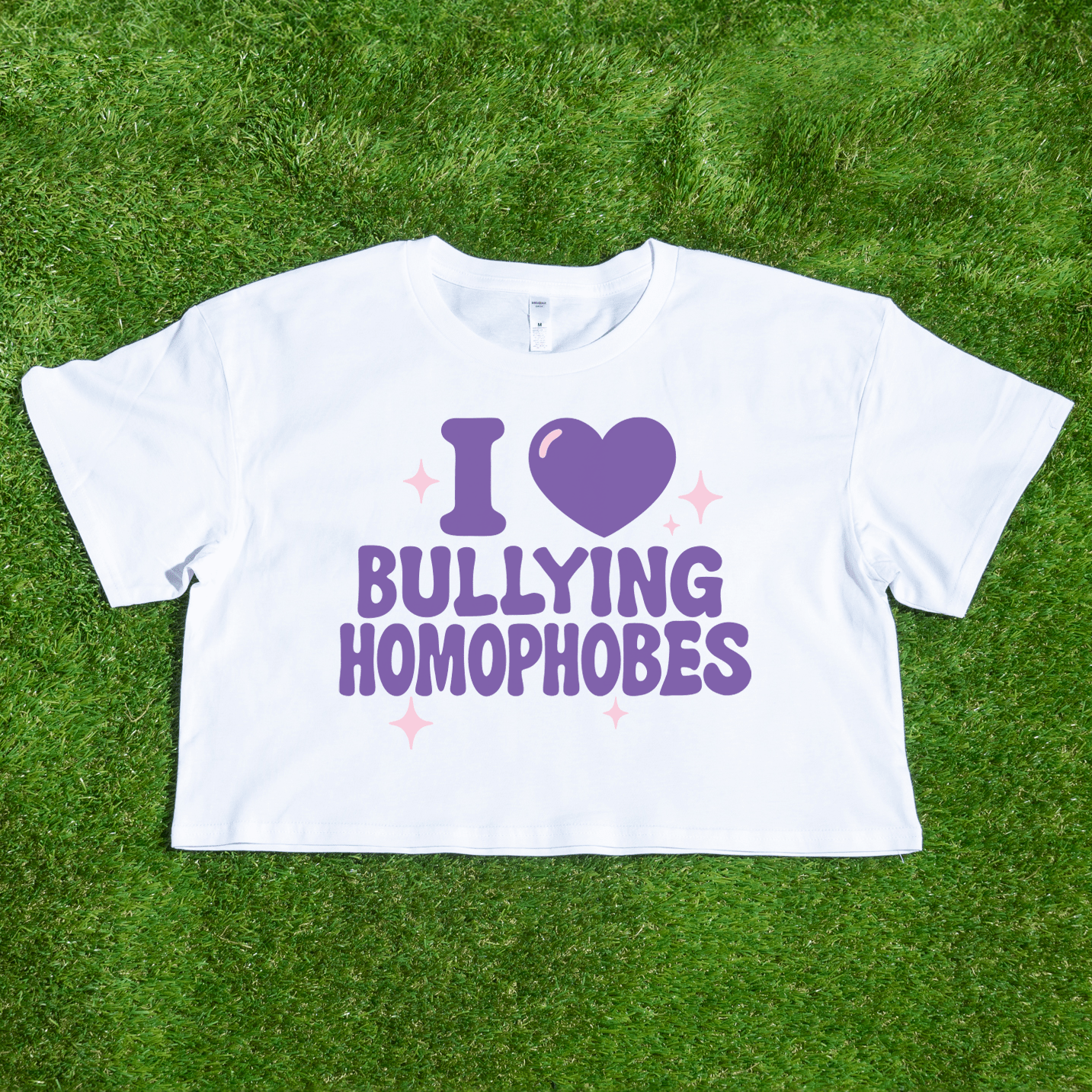 I 💜 Bullying Homophobes - locally printed crop tee