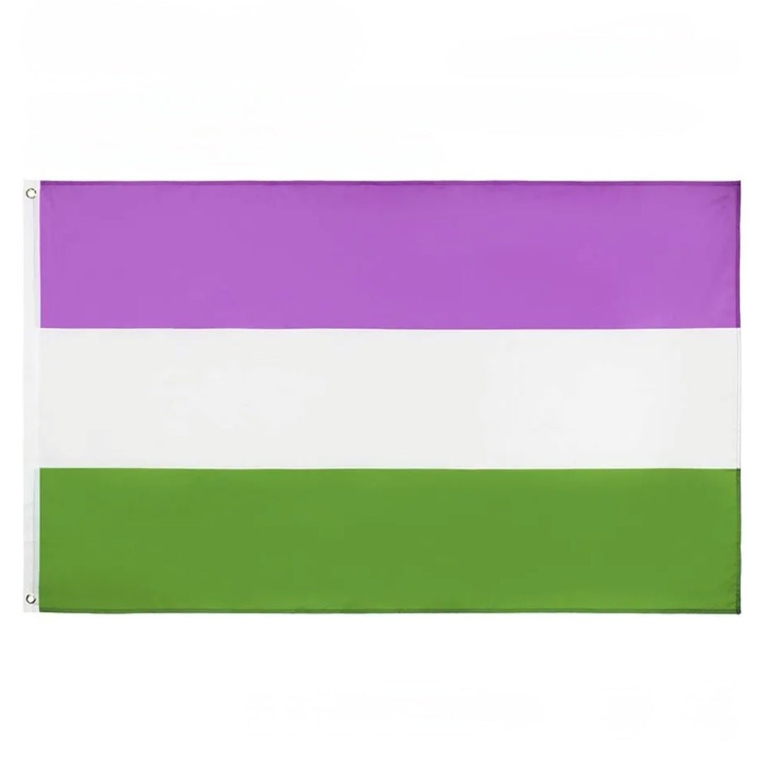 Large Pride Flags: Rainbow, Trans, Non-binary, Lesbian, Bi, Pan, Ace, Aro, Omni & many more