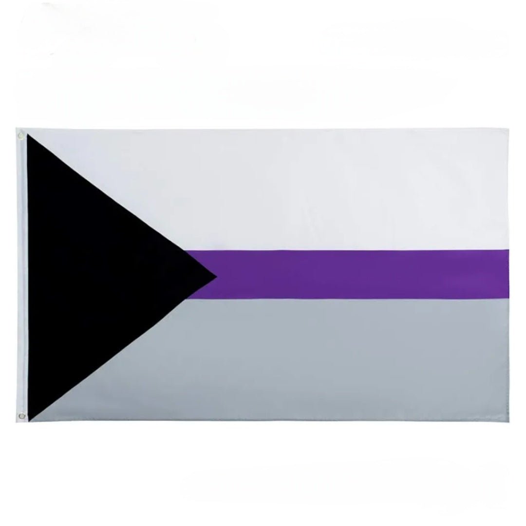 Large Pride Flags: Rainbow, Trans, Non-binary, Lesbian, Bi, Pan, Ace, Aro, Omni & many more