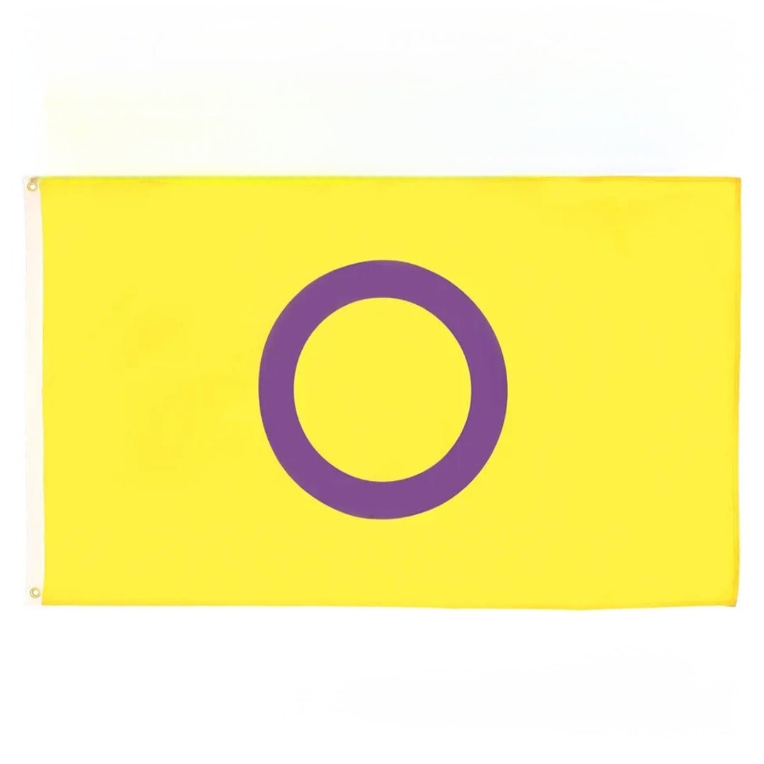 Large Pride Flags: Rainbow, Trans, Non-binary, Lesbian, Bi, Pan, Ace, Aro, Omni & many more