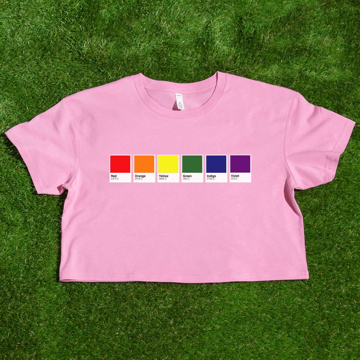 Pantone pride flag - Rainbow, Trans, Non-binary, Lesbian, Pan, Bi, Ace, Aro - locally printed crop tee