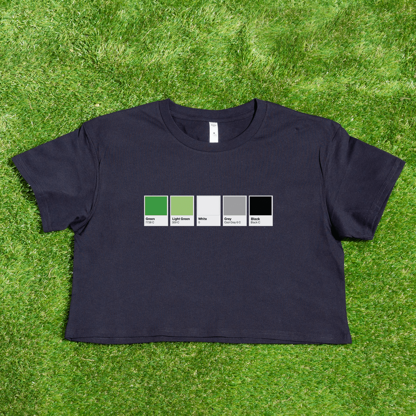 Aromantic Pride t-shirt. Ace pantone pride flag cotton crop tee