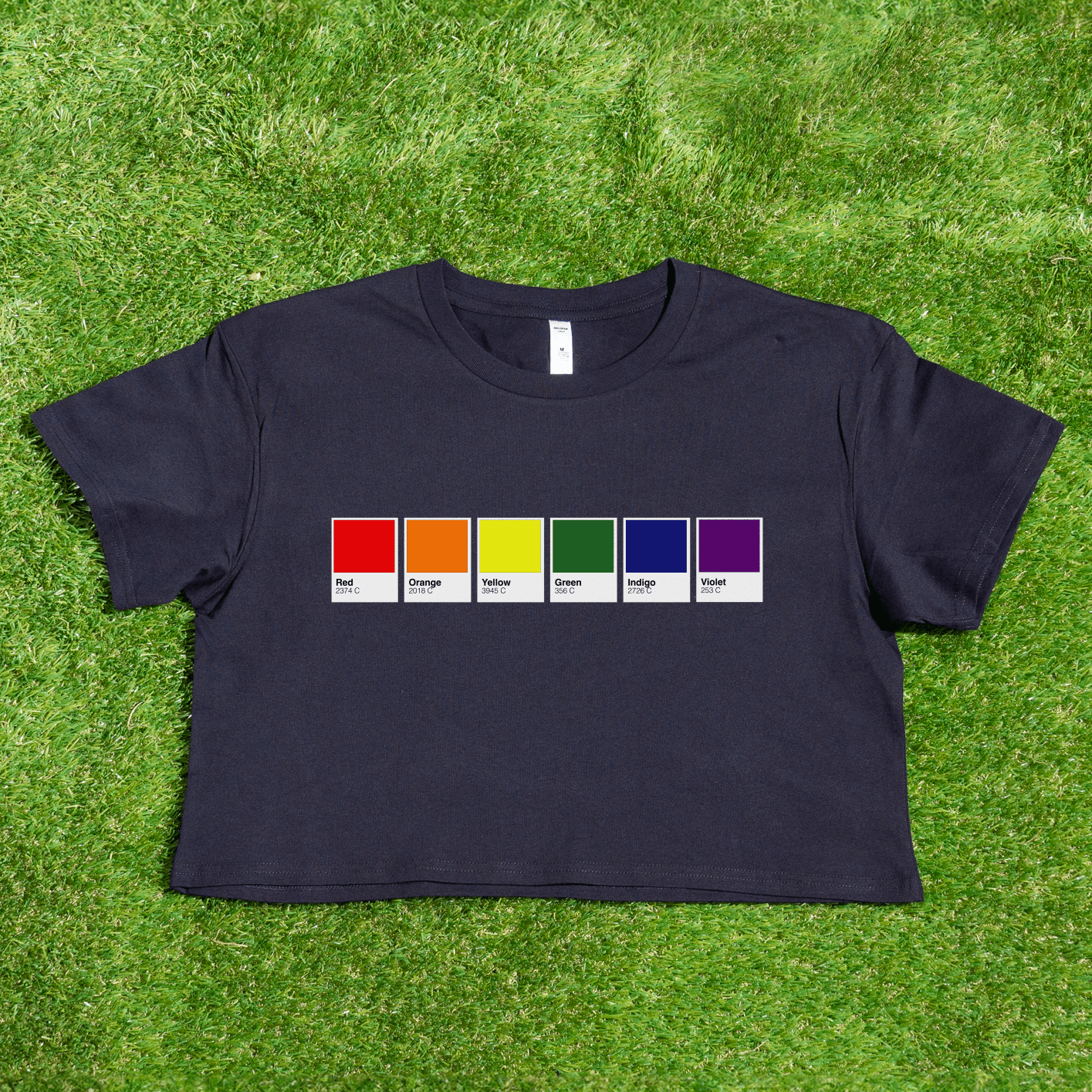 Pantone pride flag - Rainbow, Trans, Non-binary, Lesbian, Pan, Bi, Ace, Aro - locally printed crop tee