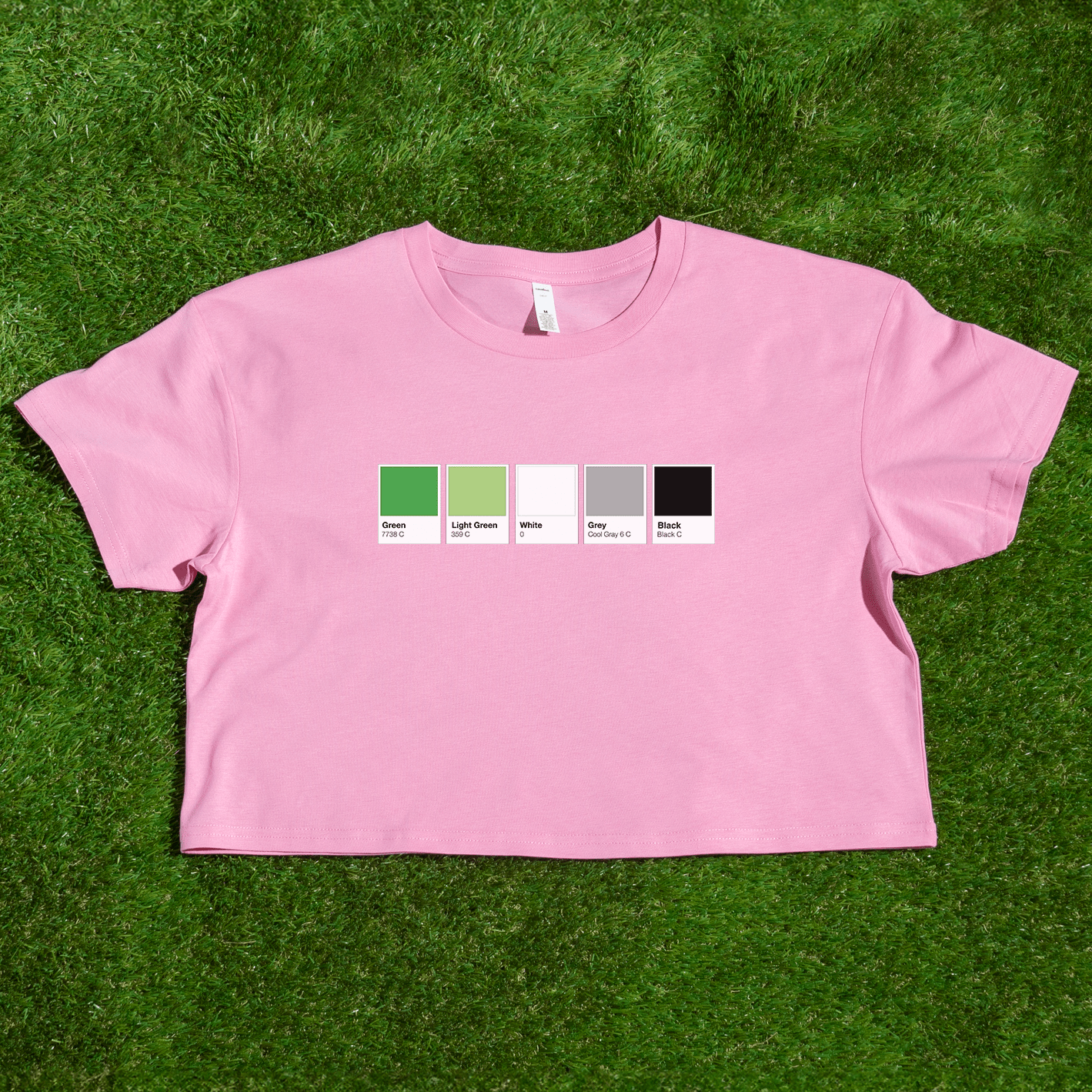 A pink cropped tee lies on grass, featuring the Pantone pride flag (Rainbow, Trans, Non-binary, Lesbian, Pan, Bi, Ace, Aro) across the chest—locally printed by a queer owned business.