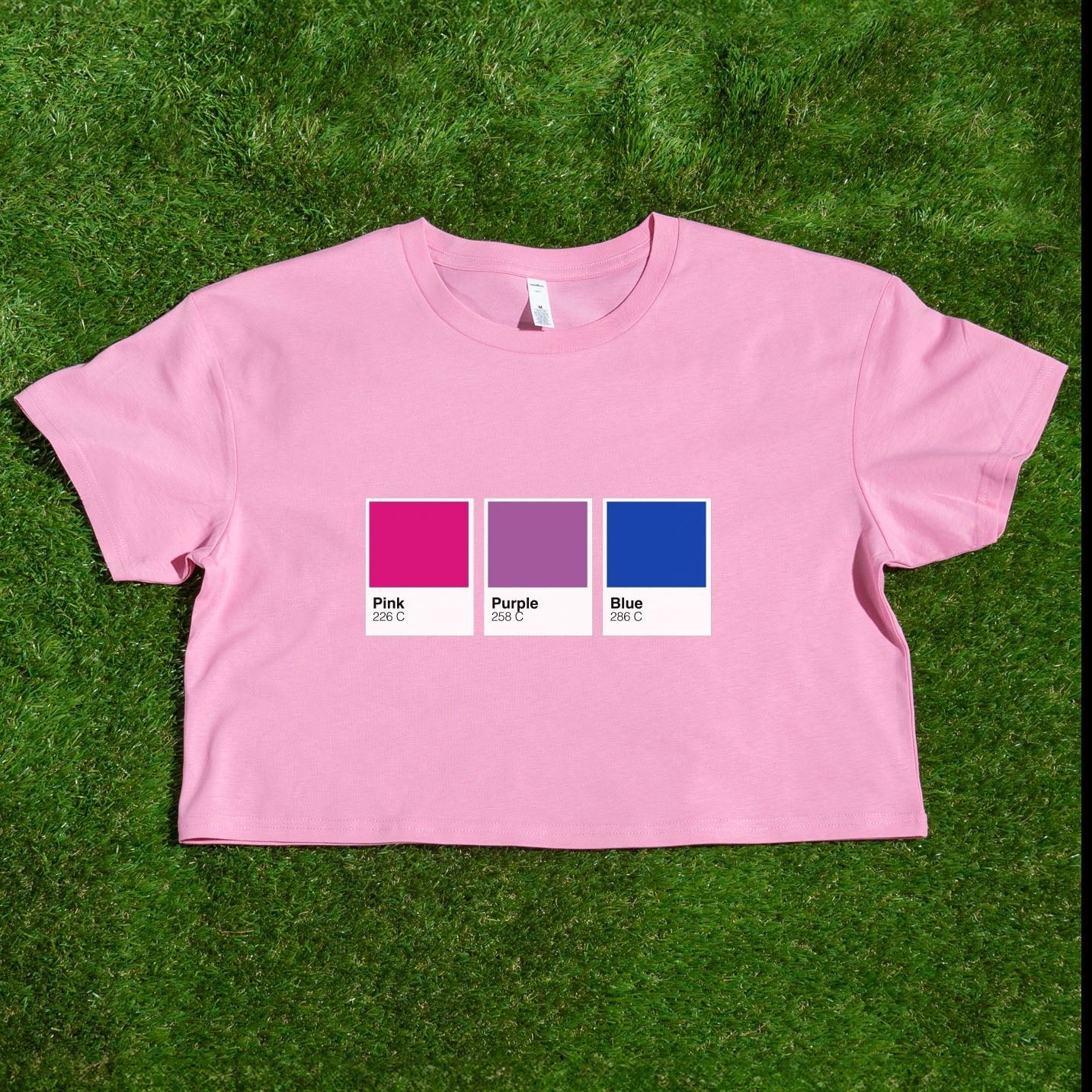 A pink crop tee featuring Pantone-style color swatches inspired by pride flags—Rainbow, Trans, Non-binary, Lesbian, Pan, Bi, Ace, Aro—locally printed and from a queer-owned business.