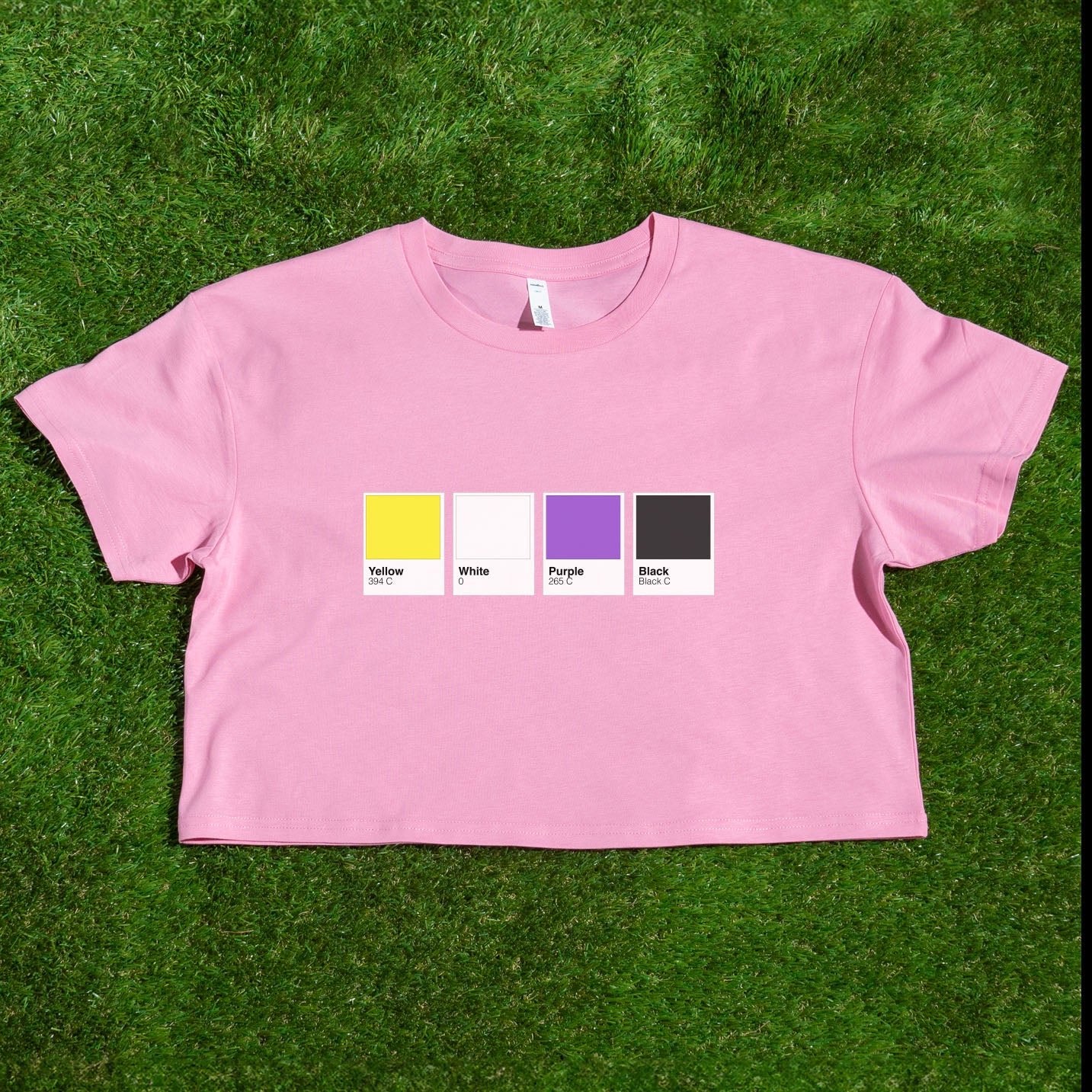 A pink crop tee rests on green grass, with four color swatches across the chest—a Pantone pride flag design from a queer-owned business. Product: Rainbow, Trans, Non-binary, Lesbian, Pan, Bi, Ace, Aro locally printed crop tee.