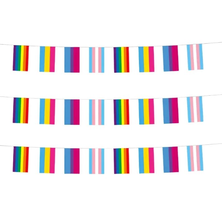 Pride flag bunting - 8 metres rainbow, pansexual, bisexual, transgender