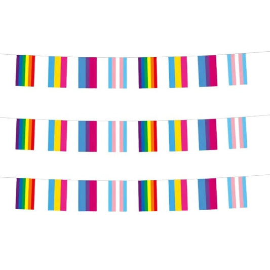 Pride flag bunting - 8 metres rainbow, pansexual, bisexual, transgender