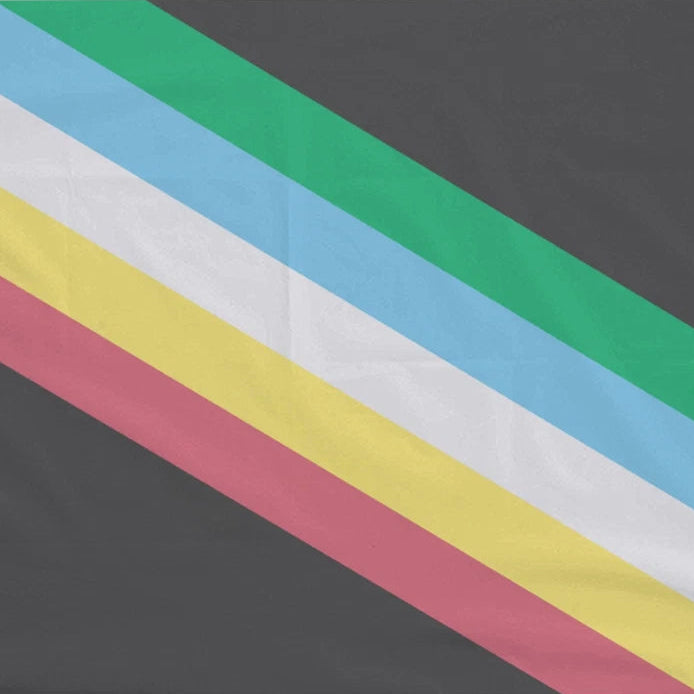 The Disability Pride Flag - Large has a black background with five diagonal stripes (green, white, blue, yellow, and red) running from the top left to the bottom right.