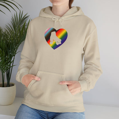 Make Skating Gay Again rainbow roller skate love heart Hoodie - Australian Shipping