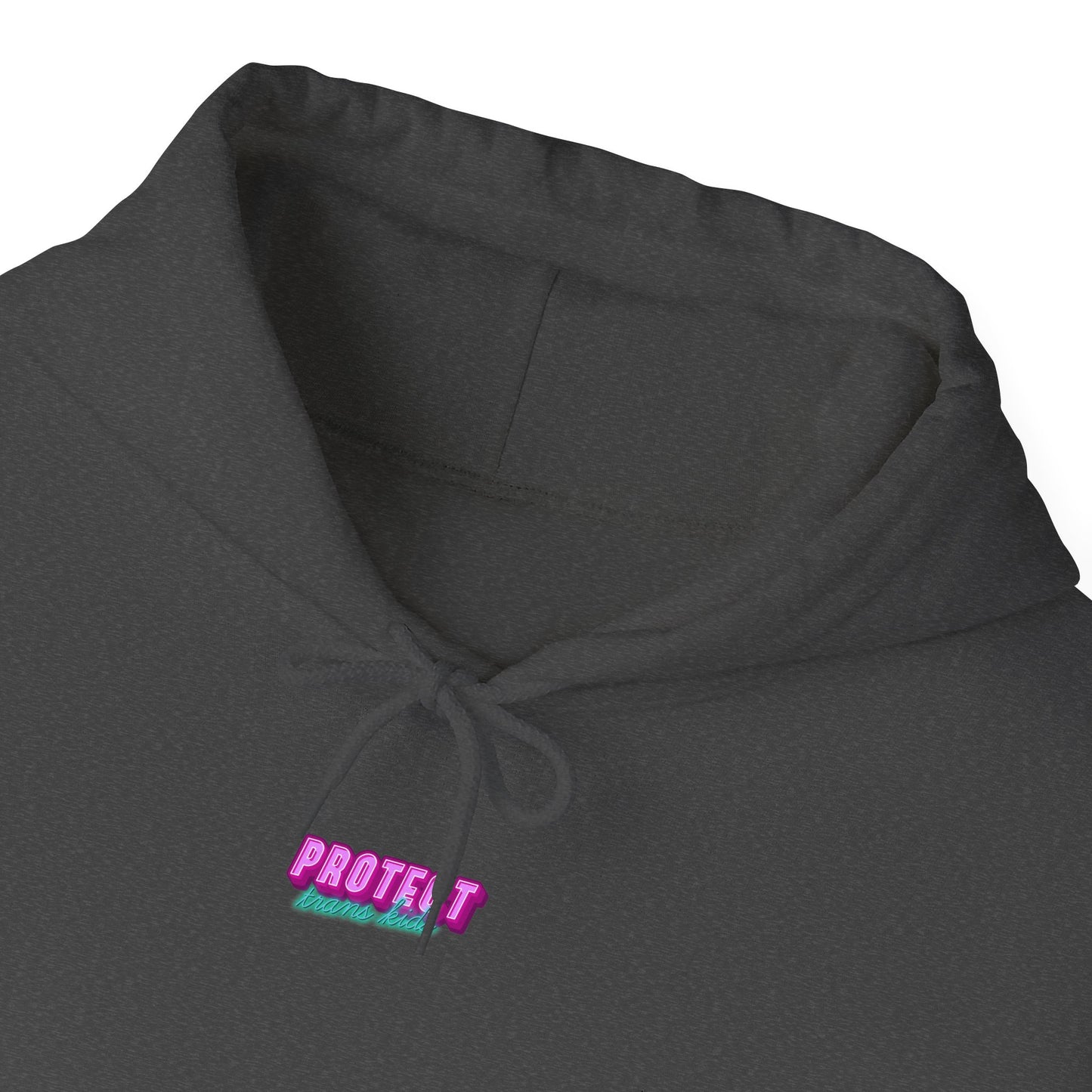 Close-up of the Protect Trans Kids Hoodie for Australian Shipping, a dark unisex design made from ethically grown cotton. It features "PROTECT TRANS KIDS" embroidered in pastel pink, blue, and green and includes a drawstring at the neckline.