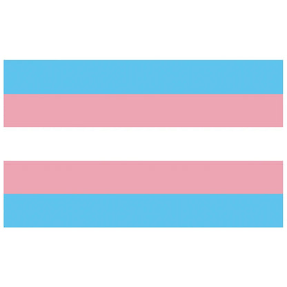 trans tranagender pride flag

45403164082331