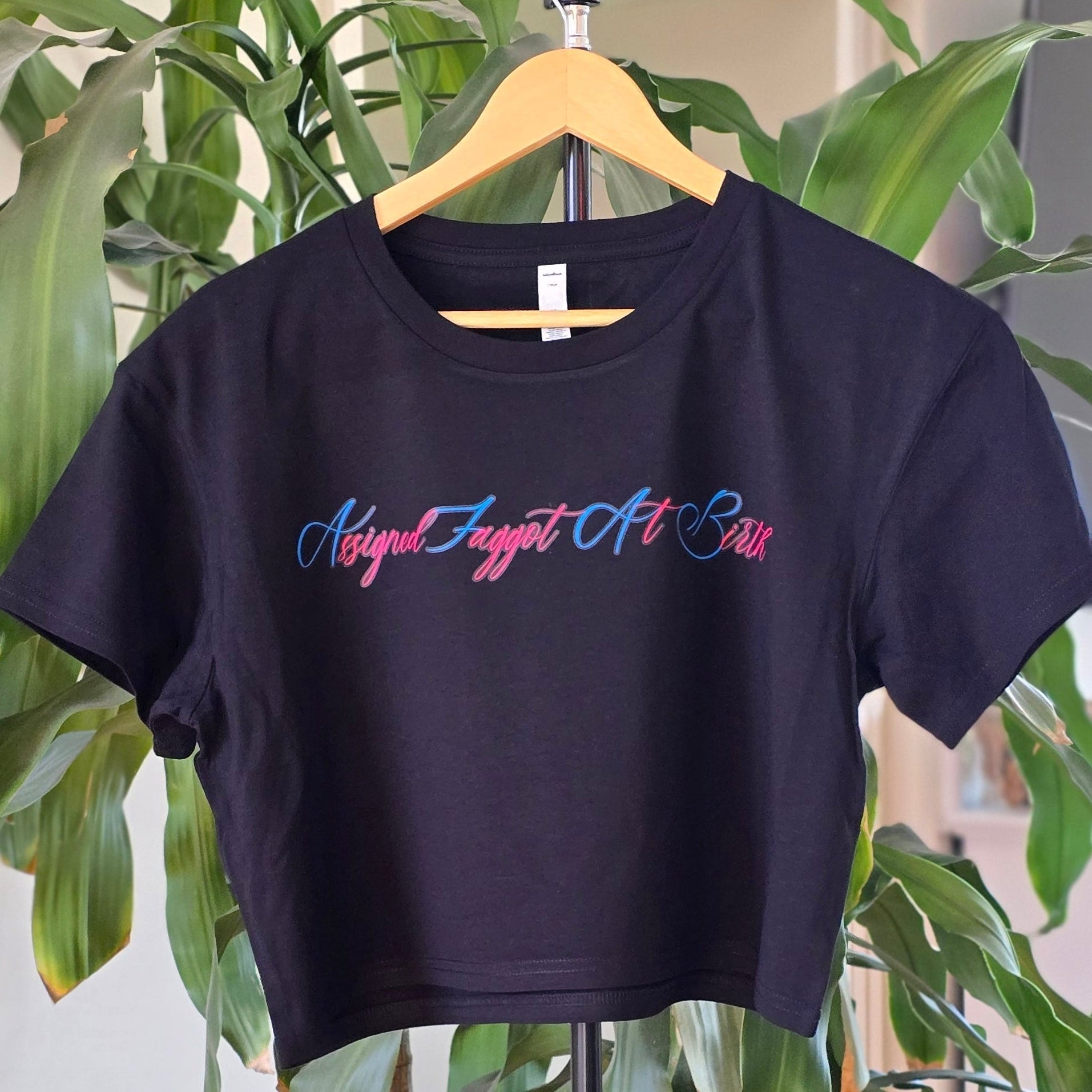 AS Colour Black crop t-shirt with pink and blue text AFAB Assigned Faggot At Birth