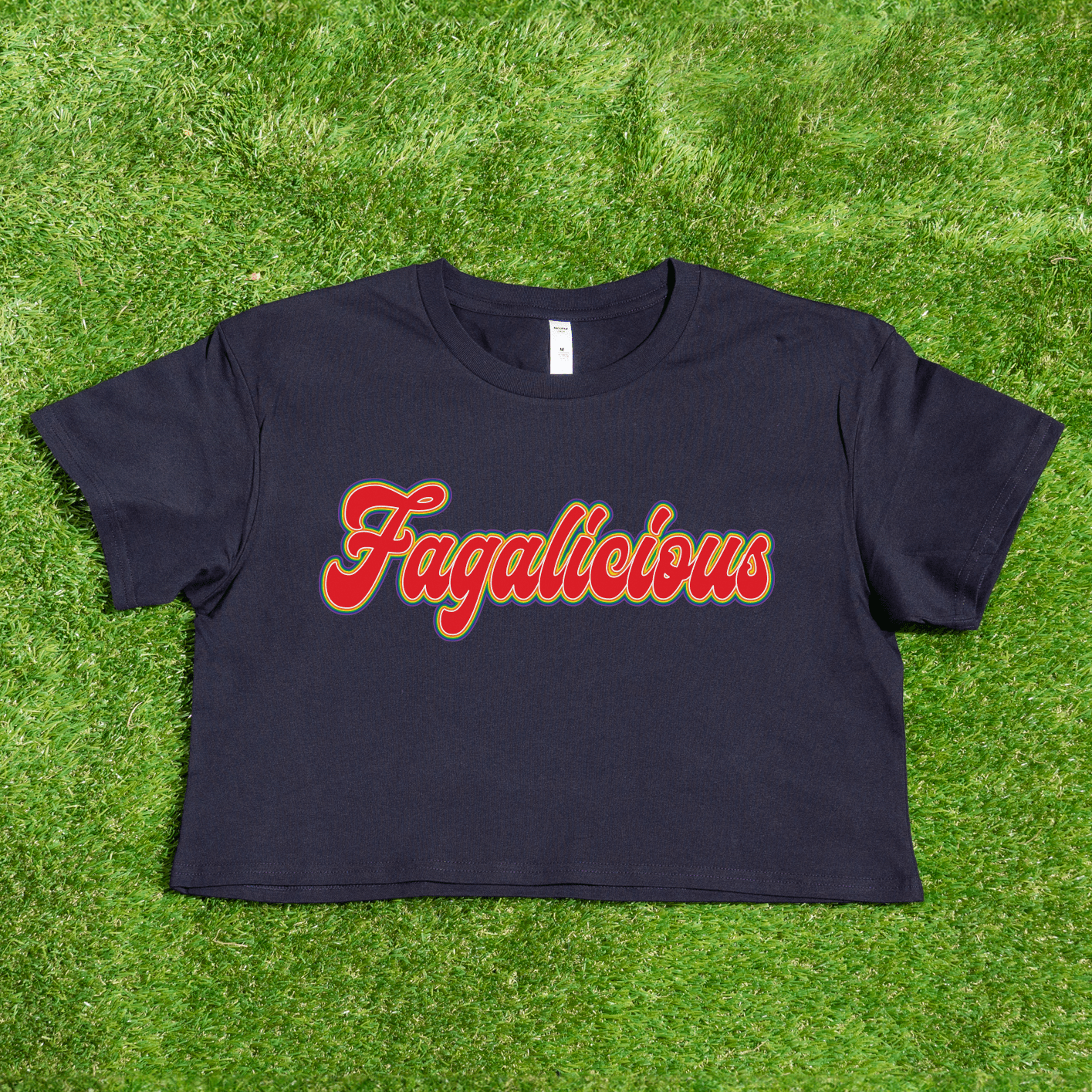 Gay pride as colour crop t-shirt with 'Fagalicious' text in funky orange red writing.