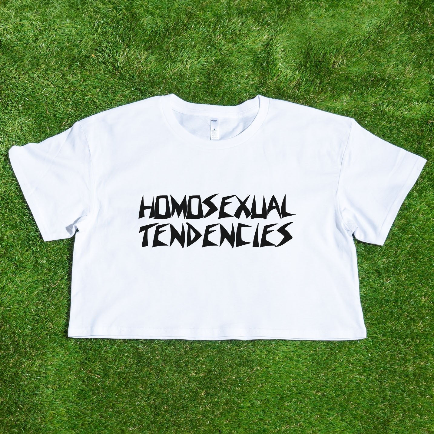 HOMOSEXUAL TENDENCIES - locally printed satire crop tee - Gay SkateHOMOSEXUAL TENDENCIES - locally printed satire crop teeT-ShirtGay SkateGay Skate