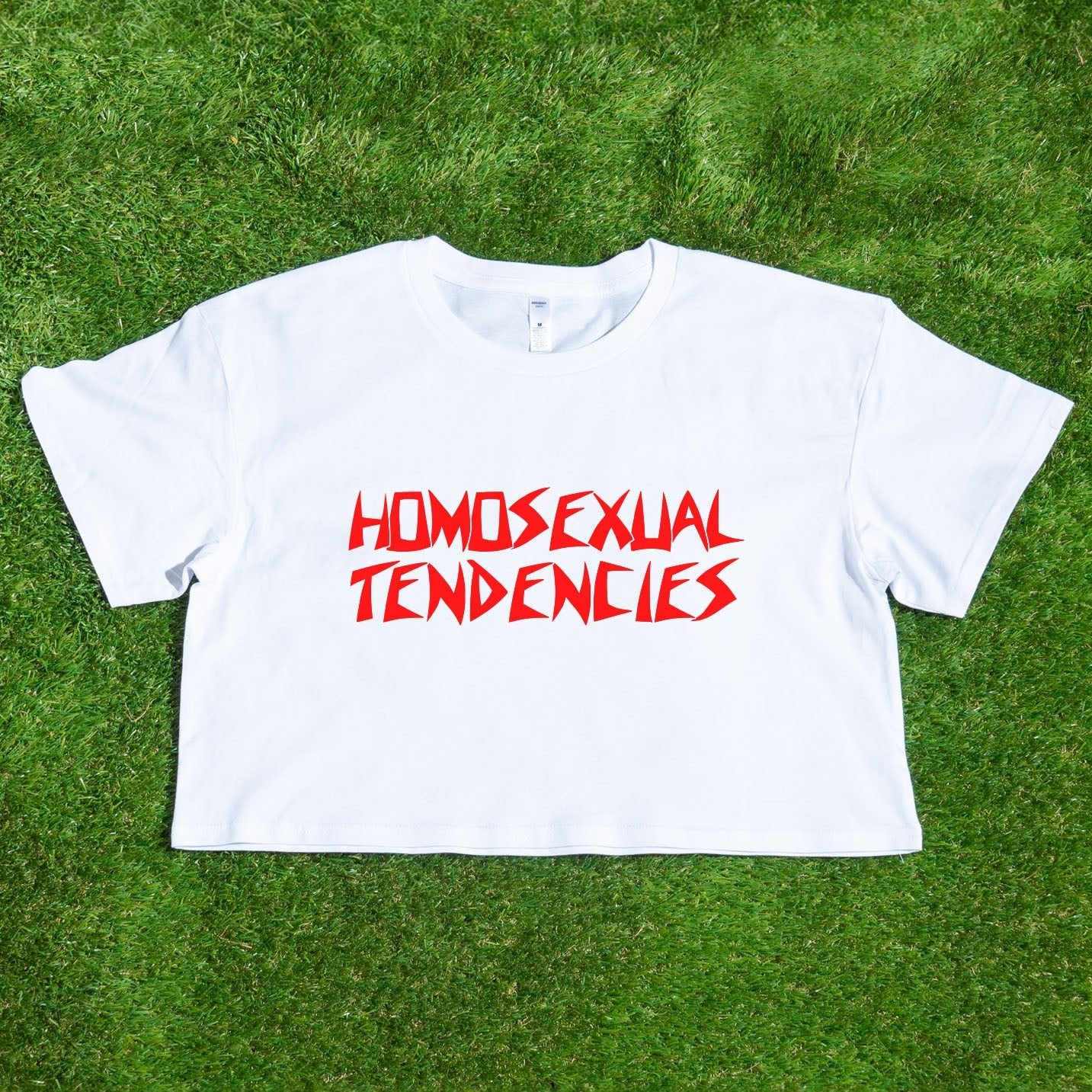 HOMOSEXUAL TENDENCIES - locally printed satire crop tee - Gay SkateHOMOSEXUAL TENDENCIES - locally printed satire crop teeT-ShirtGay SkateGay Skate