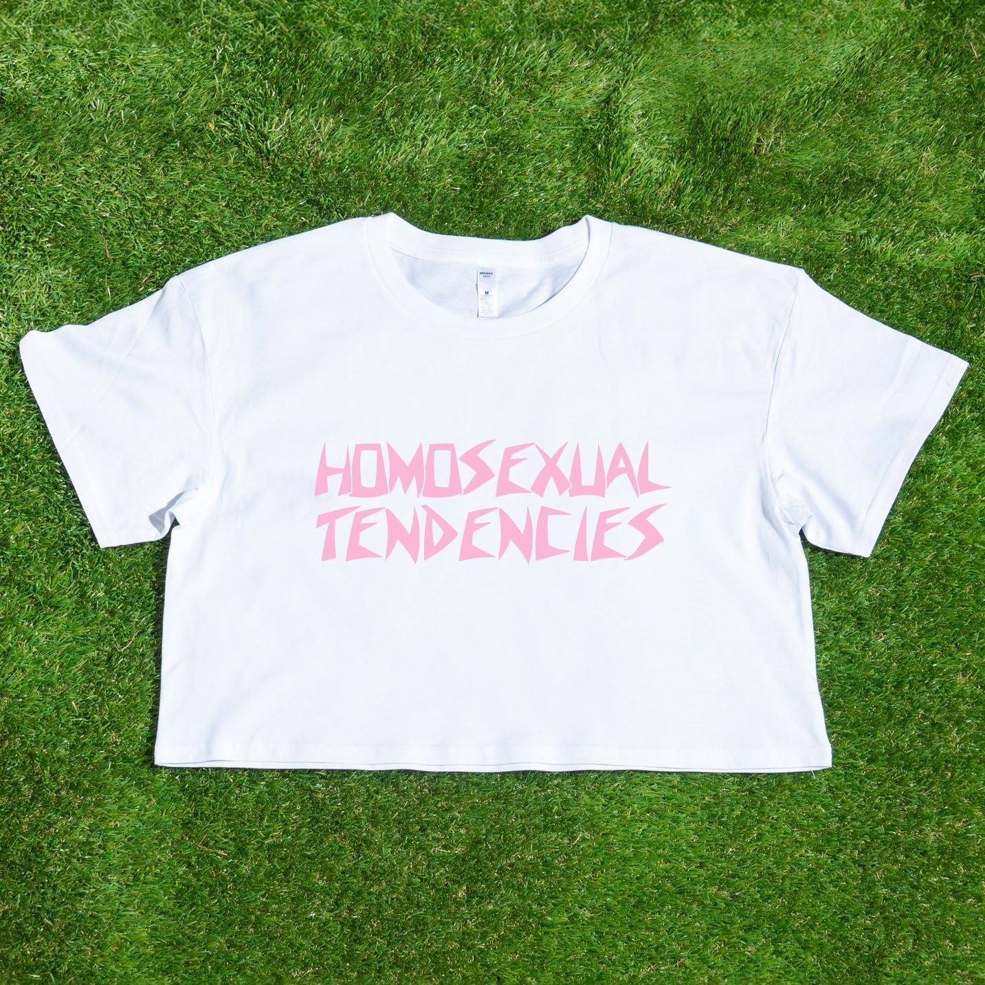 HOMOSEXUAL TENDENCIES - locally printed satire crop tee - Gay SkateHOMOSEXUAL TENDENCIES - locally printed satire crop teeT-ShirtGay SkateGay Skate