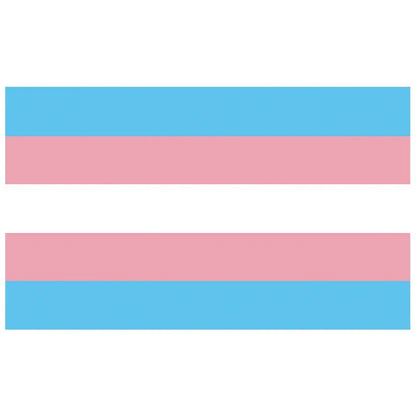 trans tranagender pride flag

45403164082331