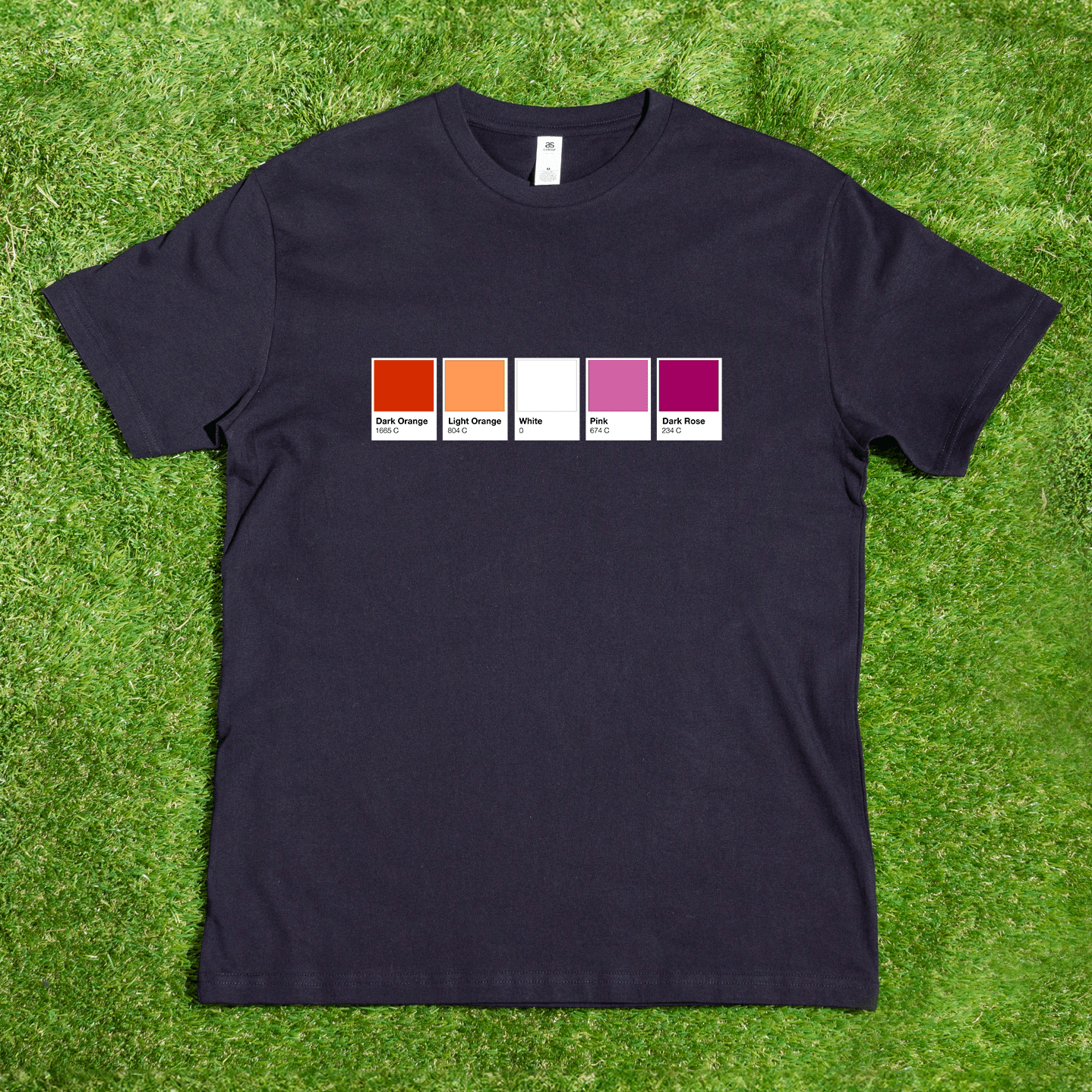 Lesbian pride flag t-shirt in pantone colour swatches