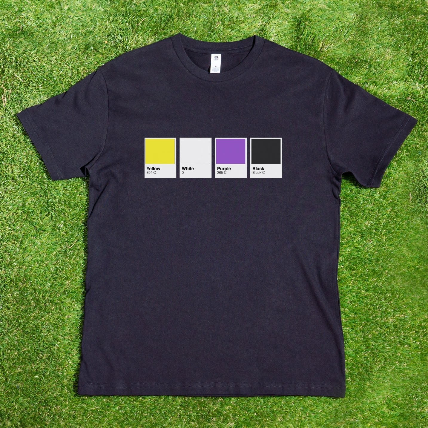 Pantone Pride Flag - Local hand printed unisex t-shirt - rainbow, trans, non - binary, pan, bi - Gay SkatePantone Pride Flag - Local hand printed unisex t-shirt - rainbow, trans, non - binary, pan, biApparelMy StoreGay Skate