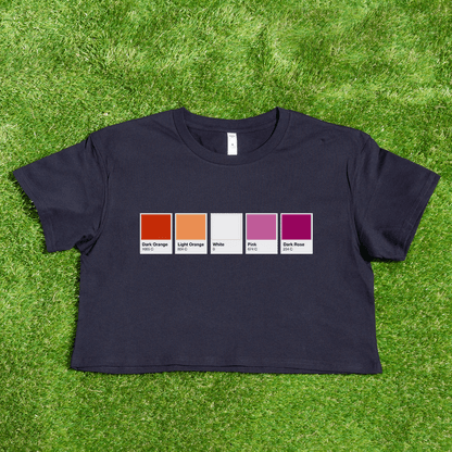 Pantone pride flag - Rainbow, Trans, Non-binary, Lesbian, Sapphic, Pan, Bi, Ace, Aro - crop tee