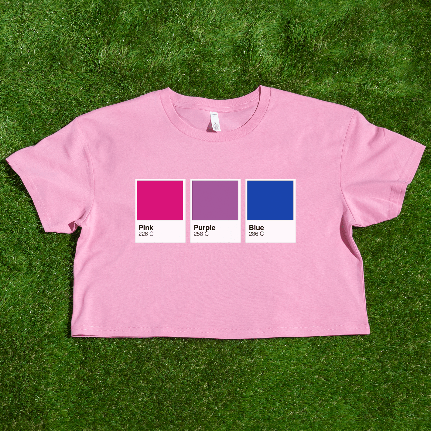 Pantone pride flag - Rainbow, Trans, Non-binary, Lesbian, Sapphic, Pan, Bi, Ace, Aro - crop tee