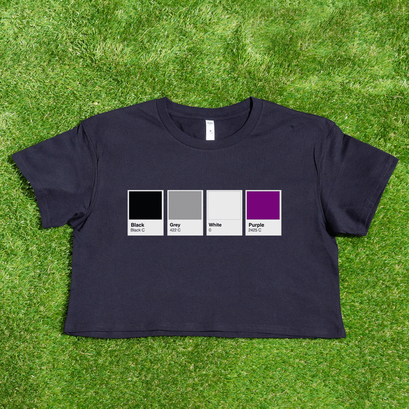 Pantone pride flag - Rainbow, Trans, Non-binary, Lesbian, Sapphic, Pan, Bi, Ace, Aro - crop tee