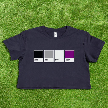 Pantone pride flag - Rainbow, Trans, Non-binary, Lesbian, Sapphic, Pan, Bi, Ace, Aro - crop tee