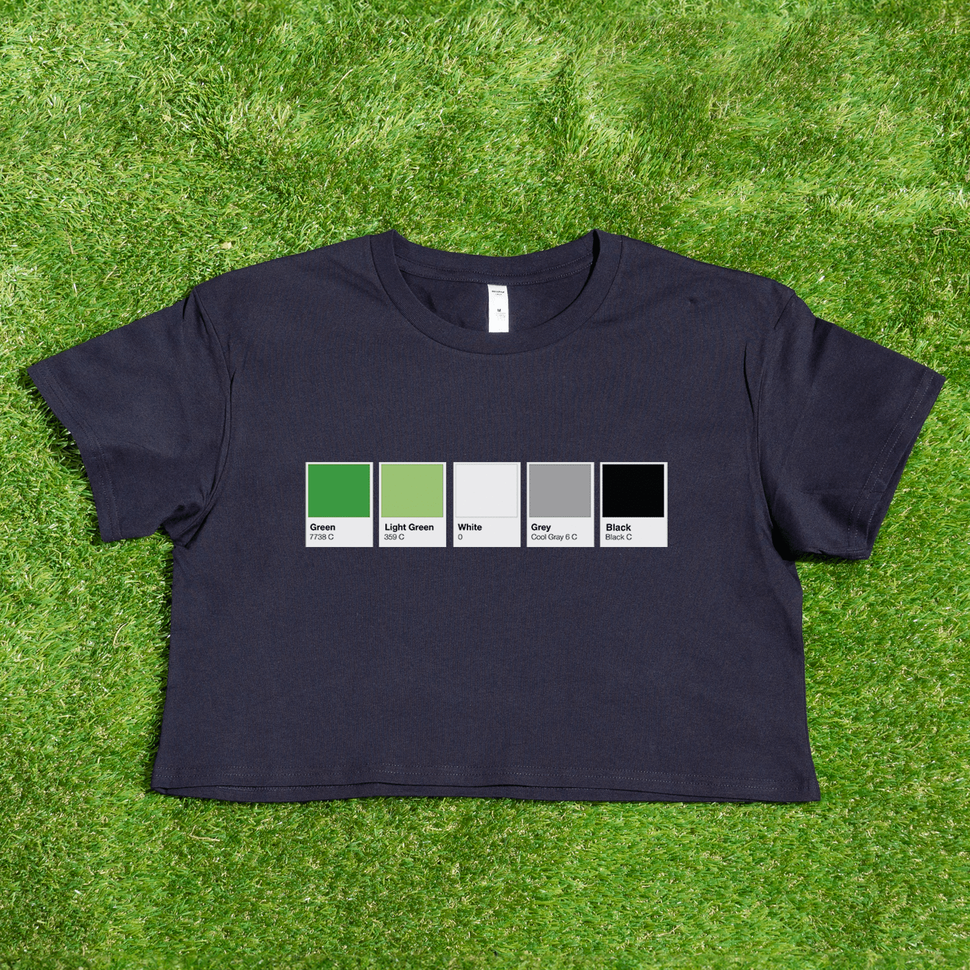 Pantone pride flag - Rainbow, Trans, Non-binary, Lesbian, Sapphic, Pan, Bi, Ace, Aro - crop tee