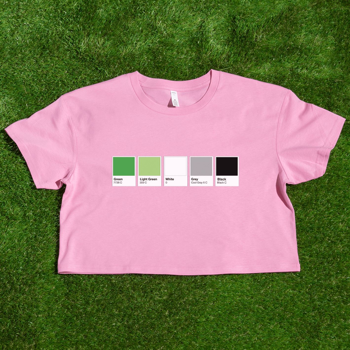 Pantone pride flag - Rainbow, Trans, Non-binary, Lesbian, Sapphic, Pan, Bi, Ace, Aro - crop tee