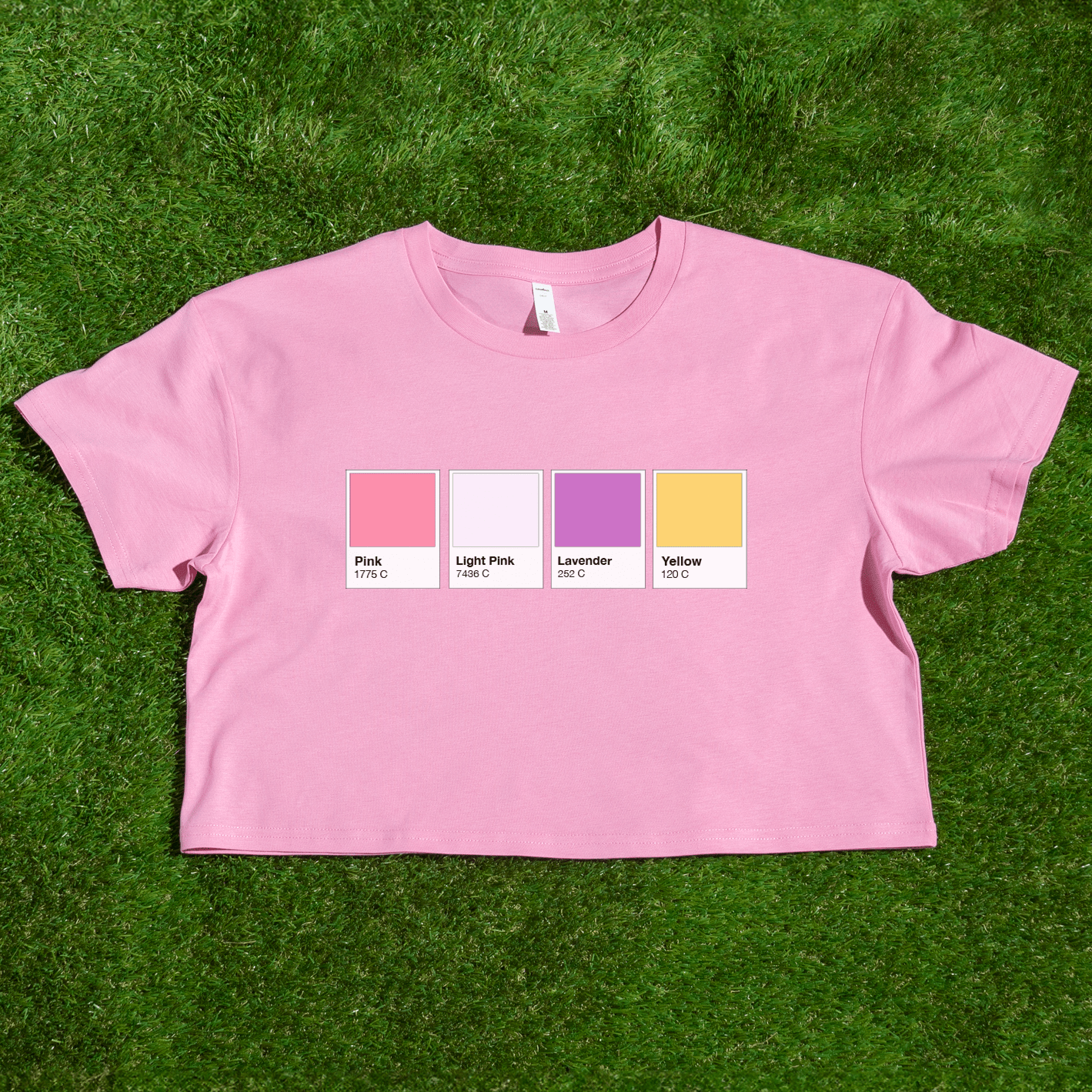 Pantone pride flag - Rainbow, Trans, Non-binary, Lesbian, Sapphic, Pan, Bi, Ace, Aro - crop tee