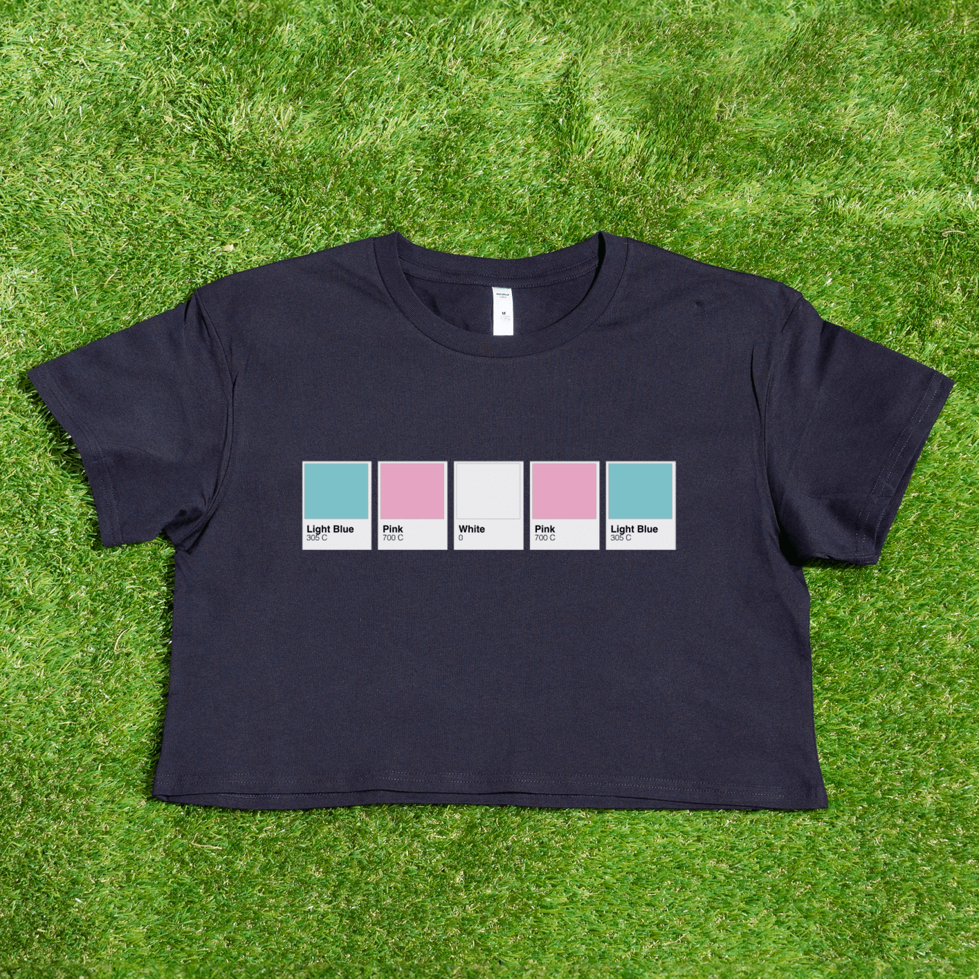 Pantone pride flag - Rainbow, Trans, Non-binary, Lesbian, Sapphic, Pan, Bi, Ace, Aro - crop tee