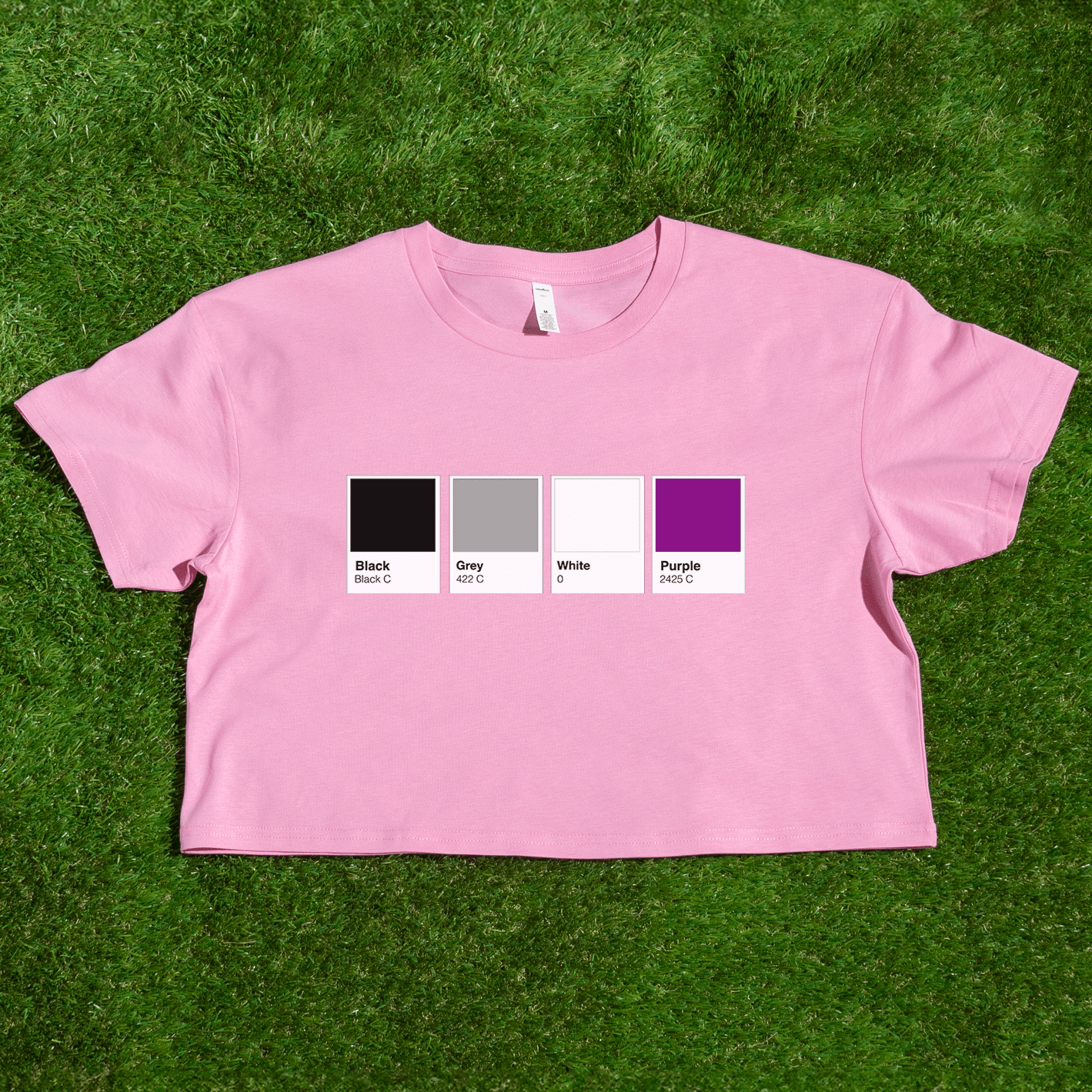 Pantone pride flag - Rainbow, Trans, Non-binary, Lesbian, Sapphic, Pan, Bi, Ace, Aro - crop tee