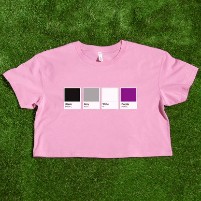 Pantone pride flag - Rainbow, Trans, Non-binary, Lesbian, Sapphic, Pan, Bi, Ace, Aro - crop tee