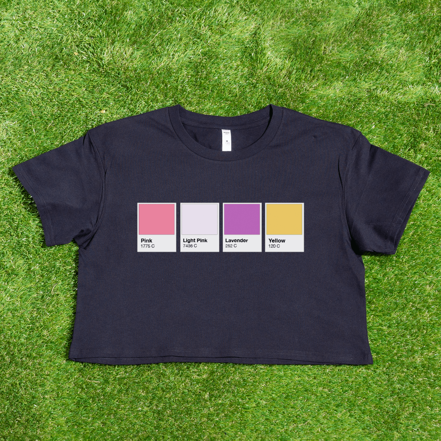 Pantone pride flag - Rainbow, Trans, Non-binary, Lesbian, Sapphic, Pan, Bi, Ace, Aro - crop tee