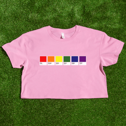 Pantone pride flag - Rainbow, Trans, Non-binary, Lesbian, Sapphic, Pan, Bi, Ace, Aro - crop tee