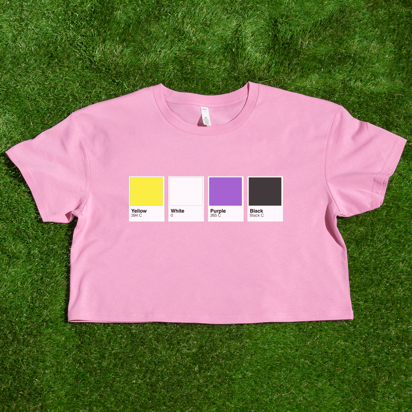 Pantone pride flag - Rainbow, Trans, Non-binary, Lesbian, Sapphic, Pan, Bi, Ace, Aro - crop tee