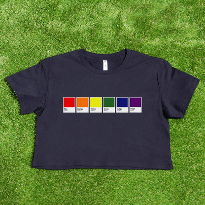 Pantone pride flag - Rainbow, Trans, Non-binary, Lesbian, Sapphic, Pan, Bi, Ace, Aro - crop tee