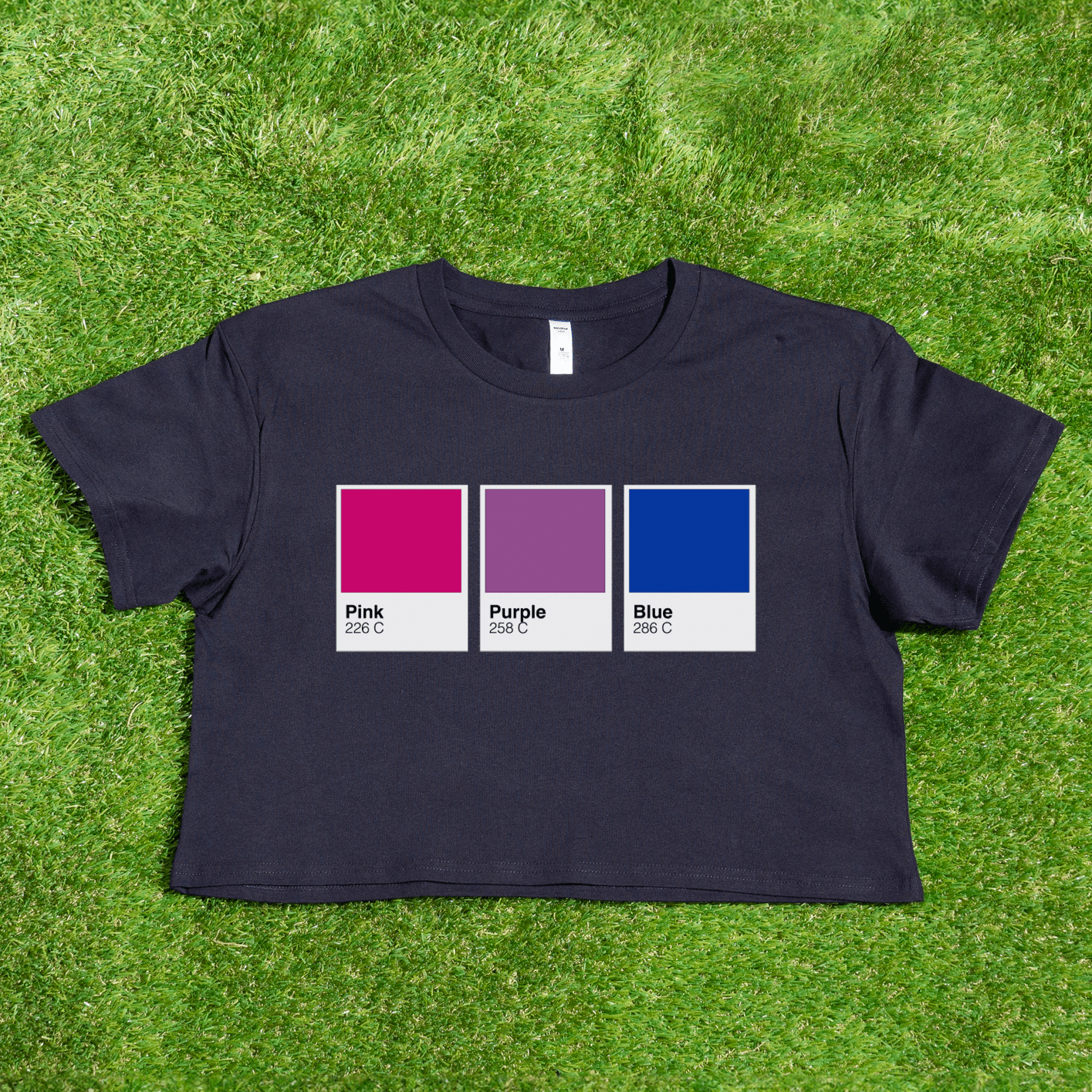 Pantone pride flag - Rainbow, Trans, Non-binary, Lesbian, Sapphic, Pan, Bi, Ace, Aro - crop tee