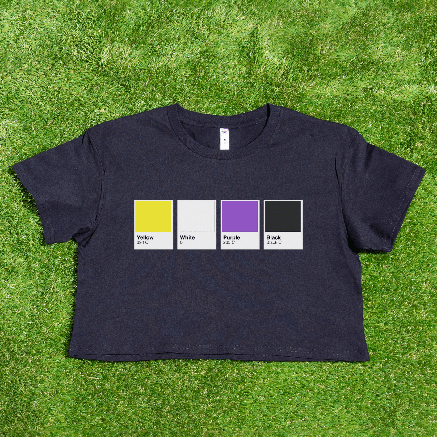 Pantone pride flag - Rainbow, Trans, Non-binary, Lesbian, Sapphic, Pan, Bi, Ace, Aro - crop tee