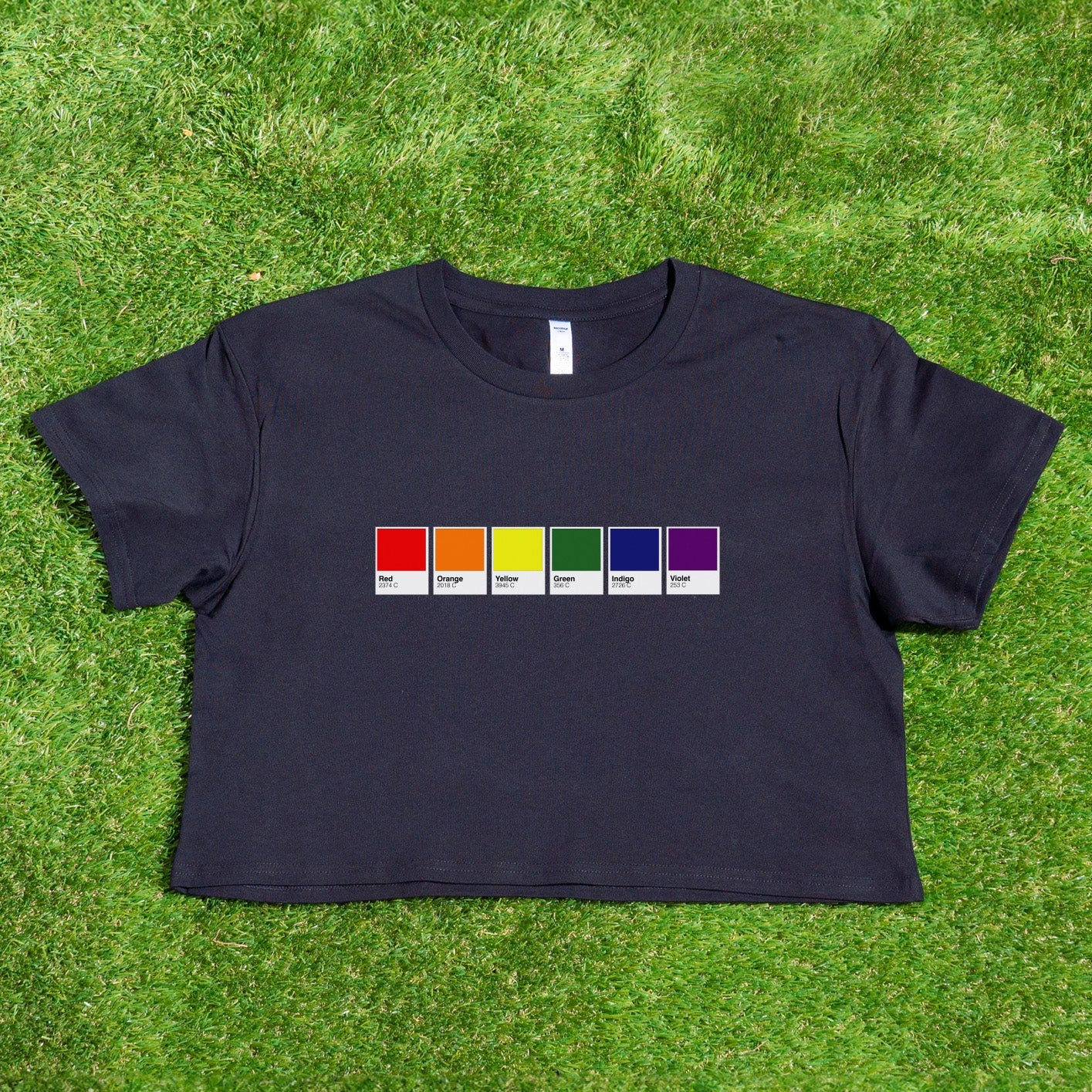 A black cropped tee from Gay Skate is spread out on the grass, featuring a horizontal row of six colored squares: "Red," "Orange," "Yellow," "Green," "Blue," and "Purple." This design proudly reflects the Pantone Pride Flag. The product is named Pantone pride flag - Rainbow, Trans, Non-binary, Pansexual, Bisexual - locally printed crop tee.