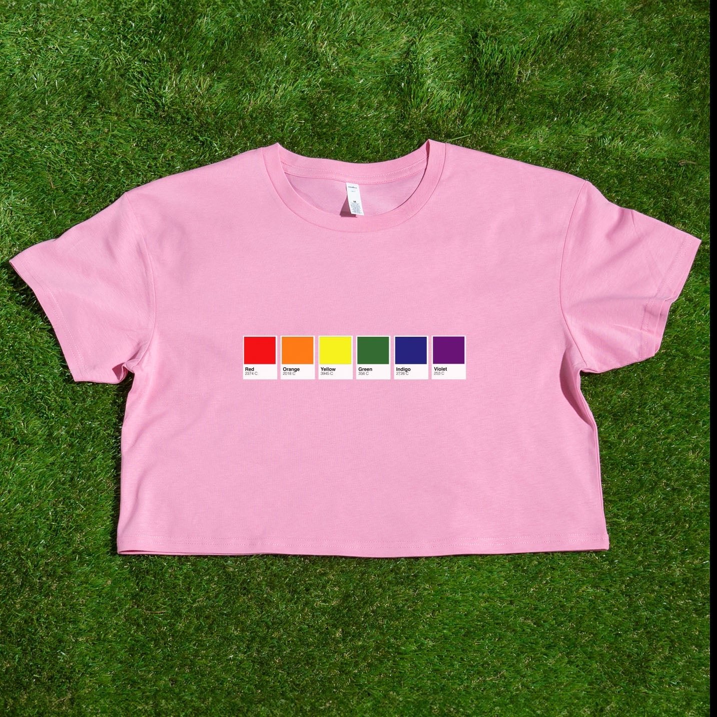 Gay rainbow pride flag AS Colour t-shirt

Pantone pride flag - Rainbow, Trans, Non - binary, Pansexual, Bisexual - locally printed crop tee 