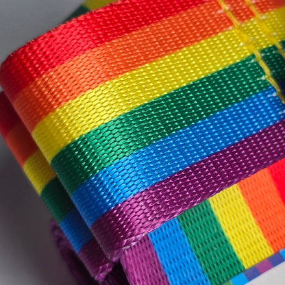 Pride Skate Leash – Gear strap.  Rainbow flag, Trans flag, Non-Binary flag