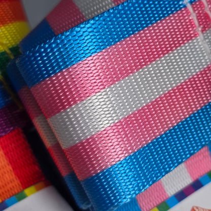 Pride Skate Leash – Gear strap.  Rainbow flag, Trans flag, Non-Binary flag
