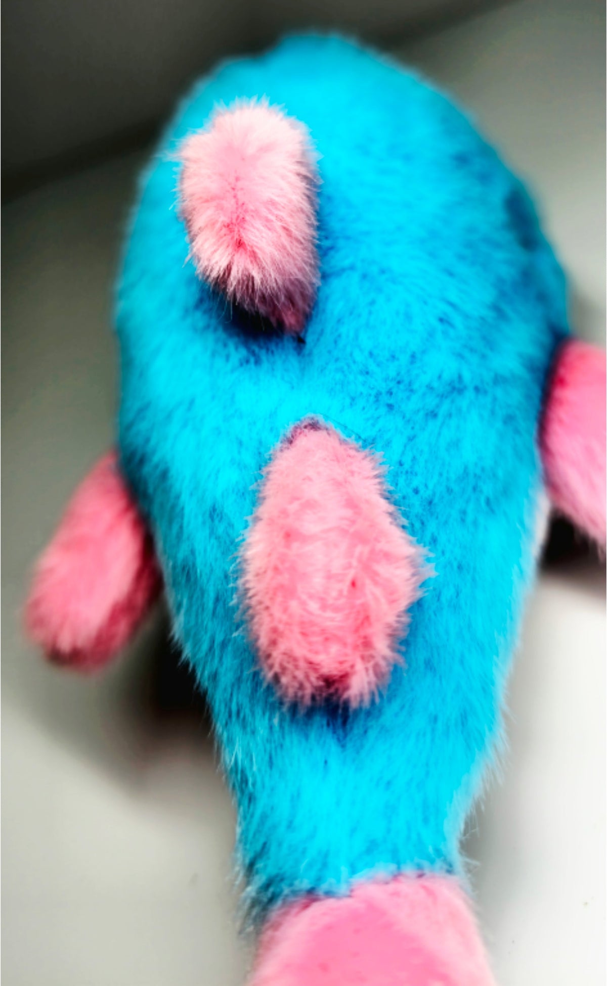 15 cm blue, pink and white trans pride plush shark keychain lying beside its silver-tone heart-shaped carabiner and keyring.